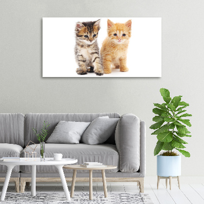 Foto op canvas Bruine en rosse kat