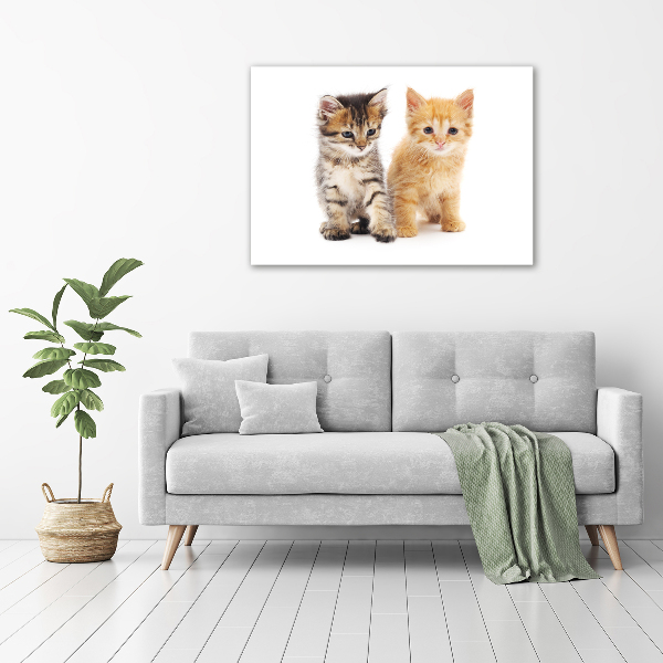 Foto op canvas Bruine en rosse kat