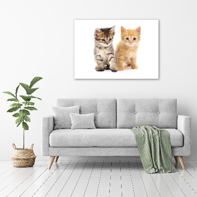 Foto op canvas Bruine en rosse kat