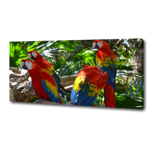 Foto obraz canvas Papugi Ary