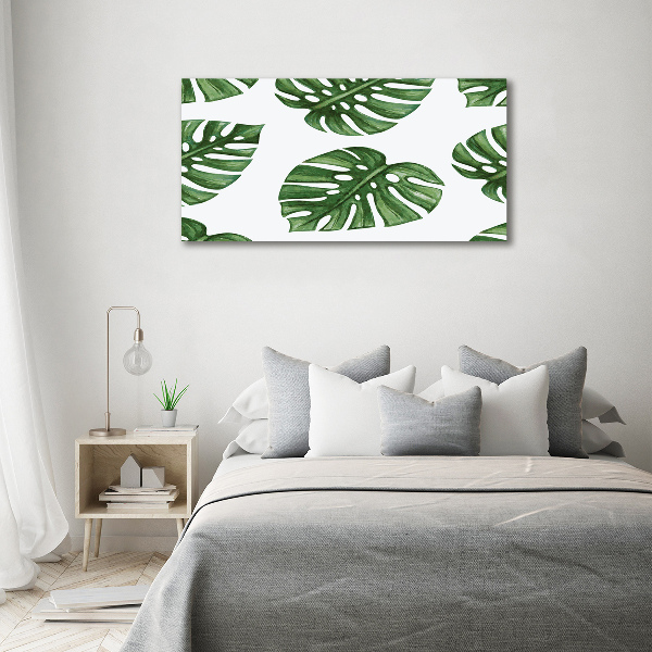 Foto obraz canvas Monstera