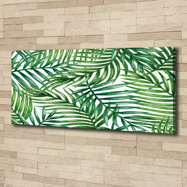 Schilderij op canvas Palmbladeren