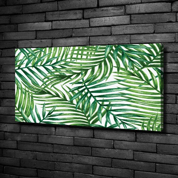 Schilderij op canvas Palmbladeren