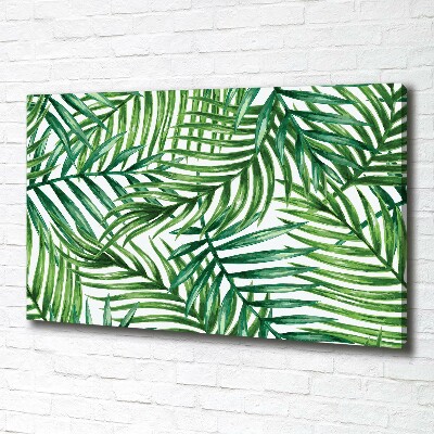 Schilderij op canvas Palmbladeren