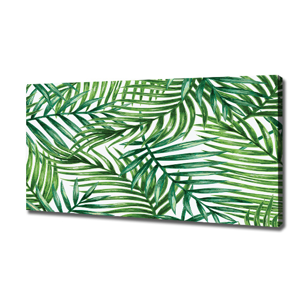 Schilderij op canvas Palmbladeren