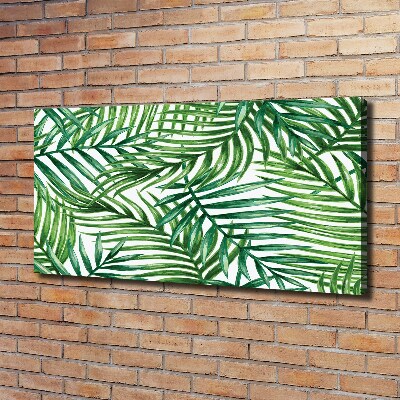 Schilderij op canvas Palmbladeren
