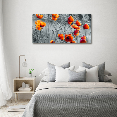 Foto obraz canvas Polne maki