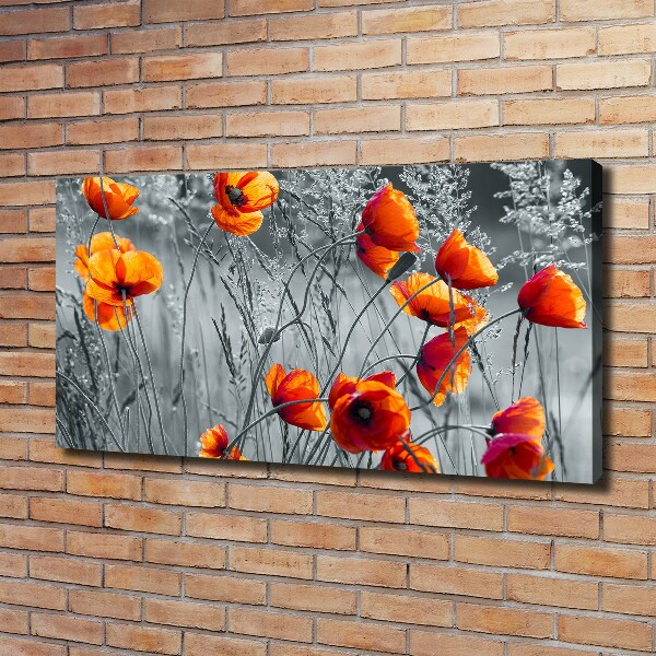 Foto op canvas Klaprozen