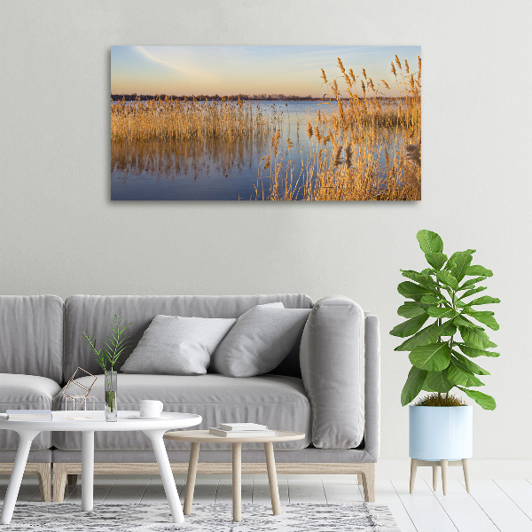 Canvas schilderij Waterriet