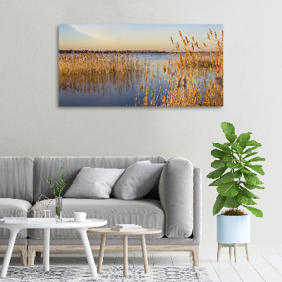 Canvas schilderij Waterriet