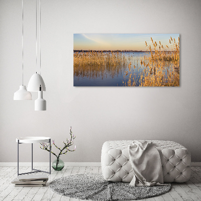 Canvas schilderij Waterriet