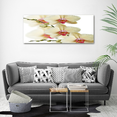 Schilderij op canvas Orchidee