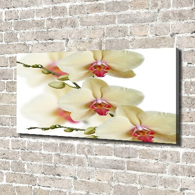 Schilderij op canvas Orchidee