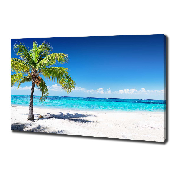 Foto canvas Tropisch strand