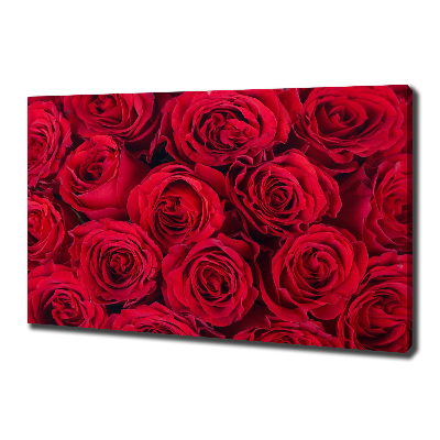 Foto canvas Rozen