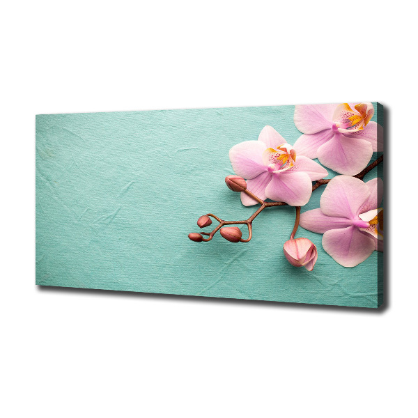 Foto op canvas Orchidee