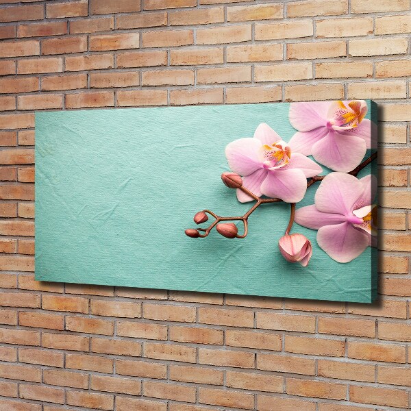 Foto op canvas Orchidee
