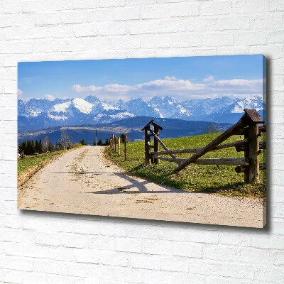 Canvas foto Panorama van het Tatragebergte