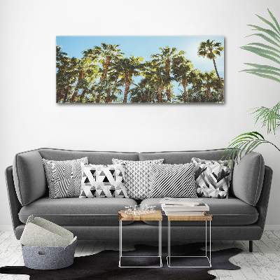 Foto canvas Hoge palmbomen