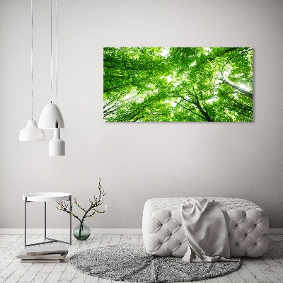 Schilderij op canvas Groen bos