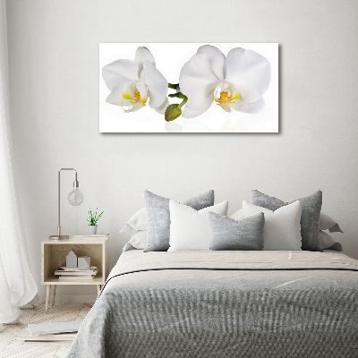 Foto canvas Orchidee
