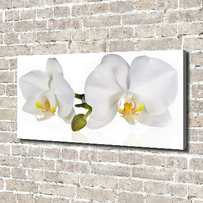 Foto canvas Orchidee