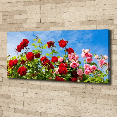 Canvas schilderij Wilde rozen