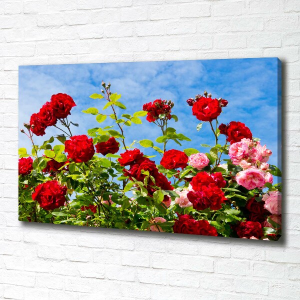 Canvas schilderij Wilde rozen