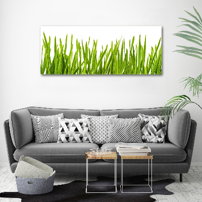 Foto canvas Gras