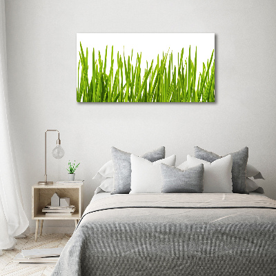 Foto canvas Gras