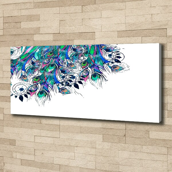 Foto obraz canvas Pawie pióra