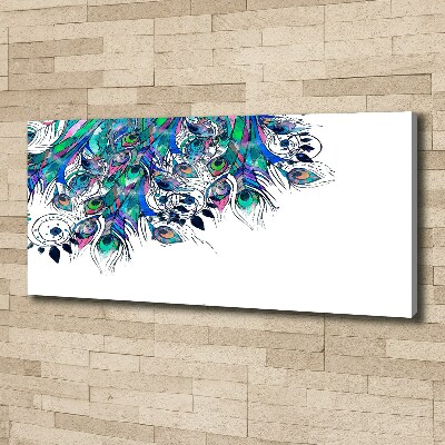 Foto obraz canvas Pawie pióra