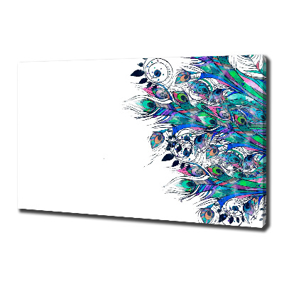 Canvas schilderij Pauwenveren