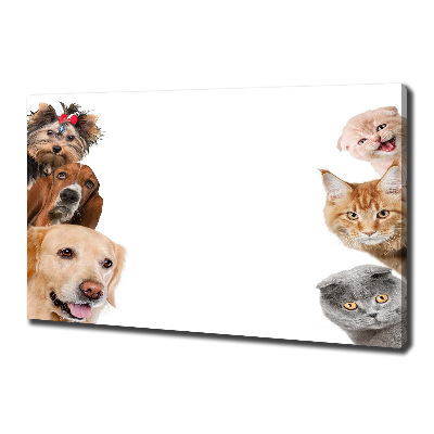 Foto canvas Honden en katten