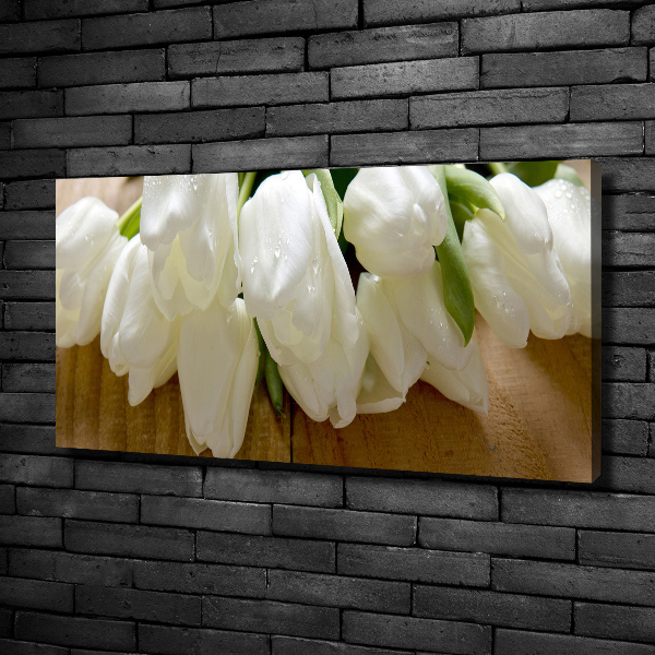 Canvas foto Witte tulpen