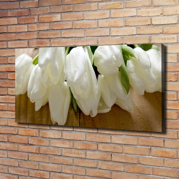 Canvas foto Witte tulpen