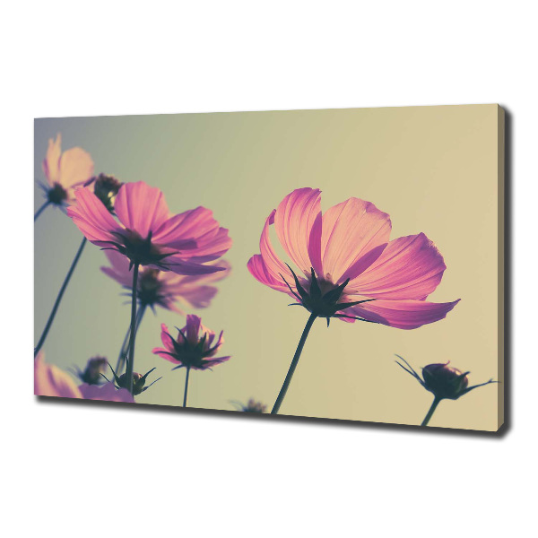Canvas schilderij Roze bloemen