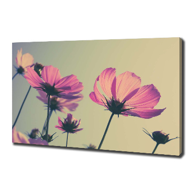 Canvas schilderij Roze bloemen