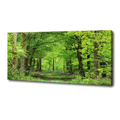 Foto canvas Lentebos