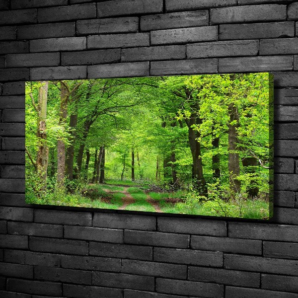 Foto canvas Lentebos