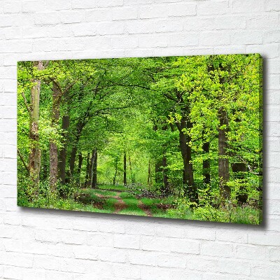 Foto canvas Lentebos