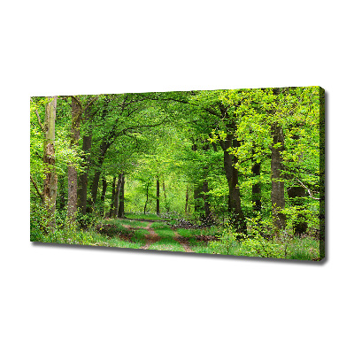 Foto canvas Lentebos