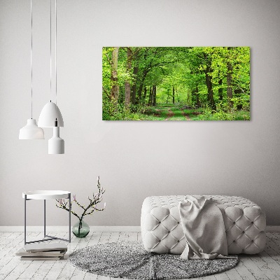 Foto canvas Lentebos