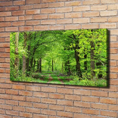 Foto canvas Lentebos