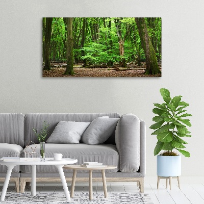 Foto op canvas Nederlands bos