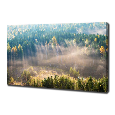 Canvas schilderij Mist in het bos