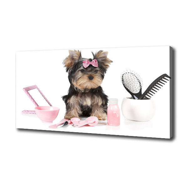 Canvas foto Yorkshire cosmetica