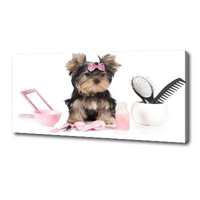 Canvas foto Yorkshire cosmetica