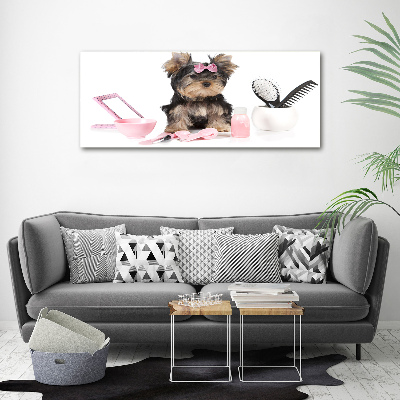 Canvas foto Yorkshire cosmetica