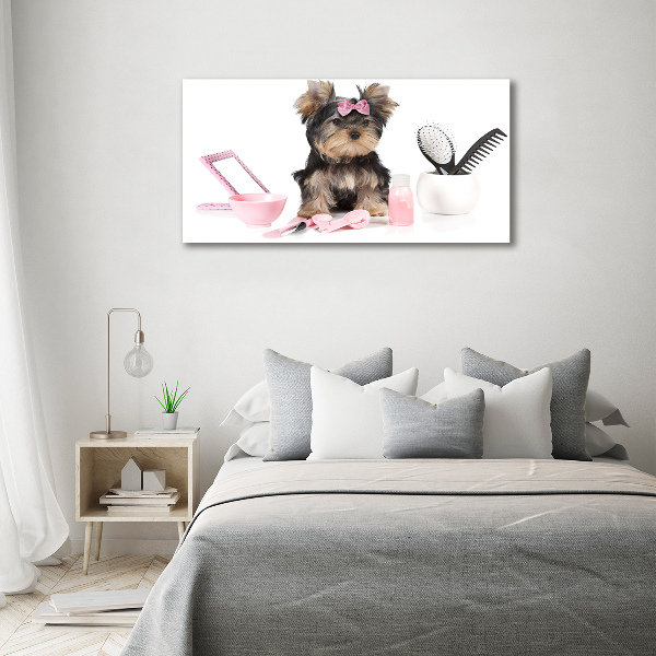 Canvas foto Yorkshire cosmetica